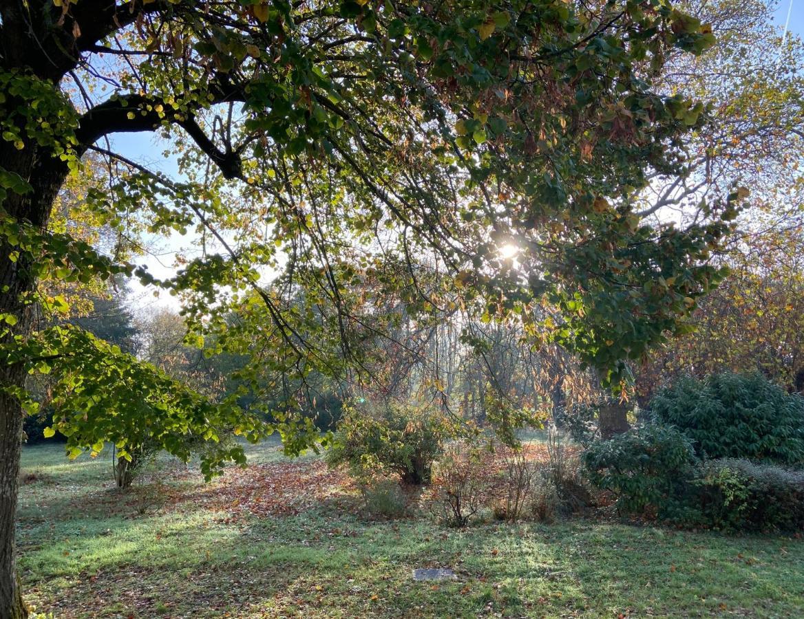 L'Oree Du Bois Des Rois Ury Extérieur photo